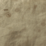 BackgroundWall-940×198
