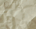 BackgroundWallNew1-980×120